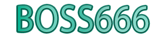 BOSS666
